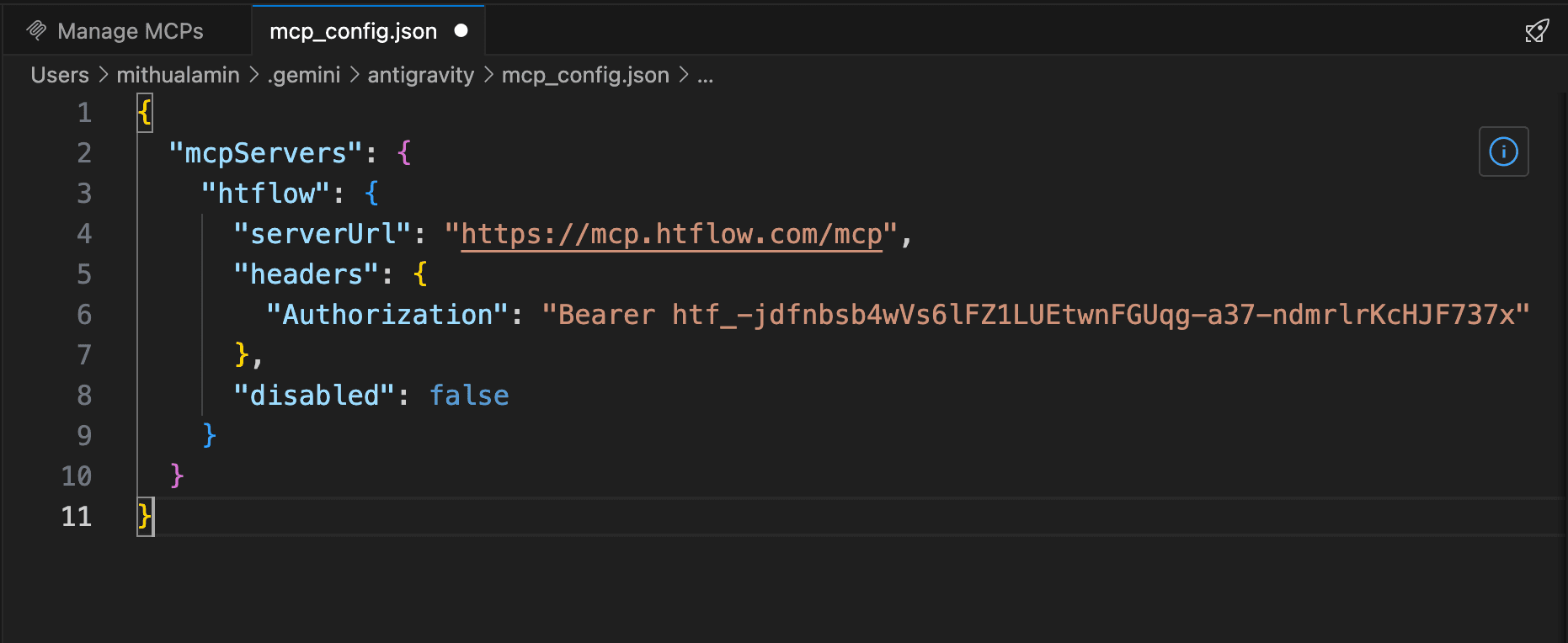 Antigravity setup step 4